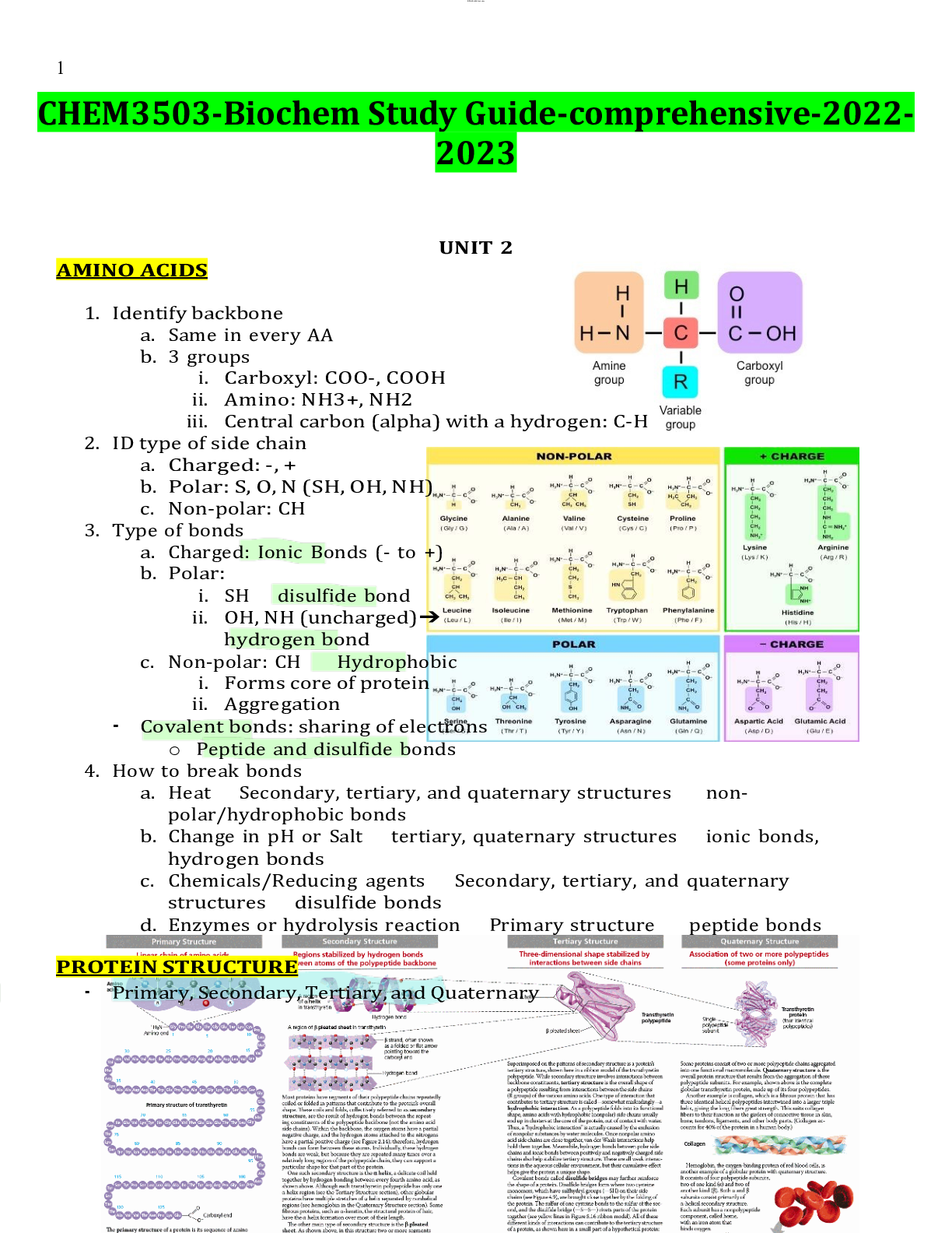 CHEM3503Biochem Study Scholarfriends